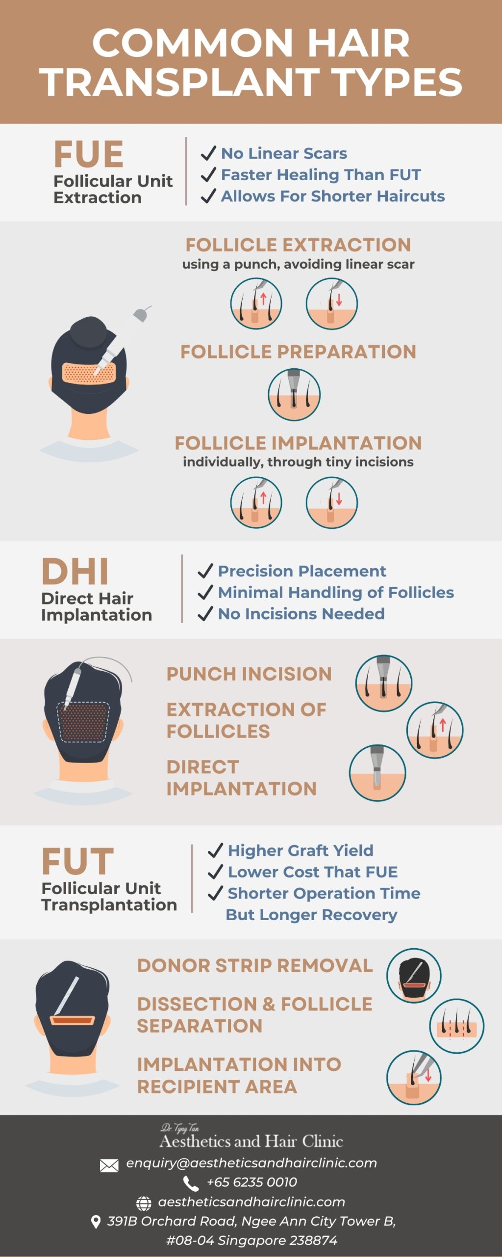dtt blog september 2024 infographic